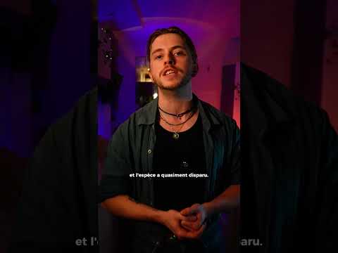 La colonisation sur les animaux. thumbnail