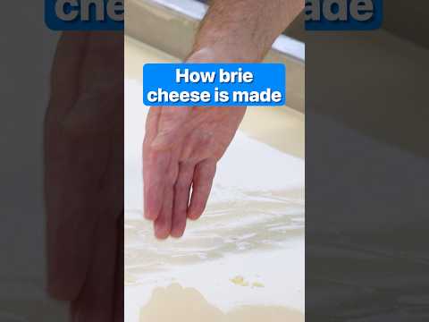 These #cheese-#makers create over 8,000 wheels of #brie daily. Here's how they do it. thumbnail