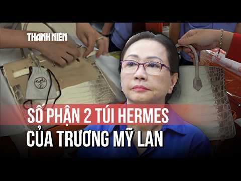 2 chiếc túi HERMES của Trương Mỹ Lan đã có chủ mới thumbnail