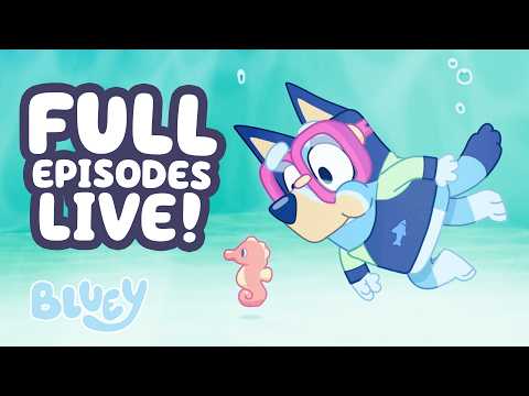 🔴LIVE: Underwater Adventures! ☀️ 💧 | 2 HOURS Bluey Full Episodes! 💙 | Bluey thumbnail