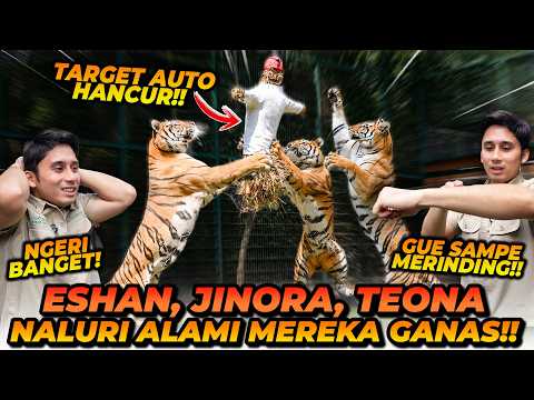 JINORA VS ESHAN VS TEONA! SIAPA YANG PALING BARBAR DAN PALING KUAT?! thumbnail