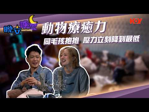 晚安晚安 EP13｜寵愛小動物——毛孩觸覺與科學減壓的深夜治癒｜敖嘉年｜陳明憙｜HOY 77 thumbnail