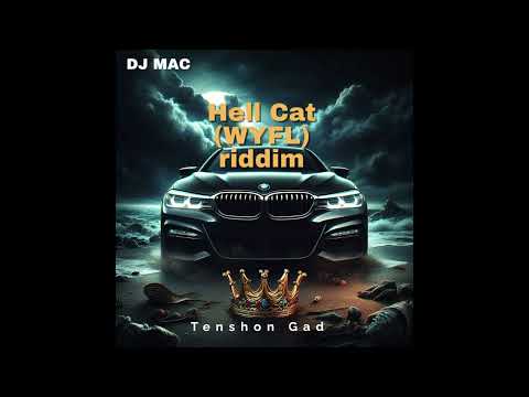 Tenshon Gad - Hell Cat (WYFL Riddim) [Audio Visualizer] thumbnail