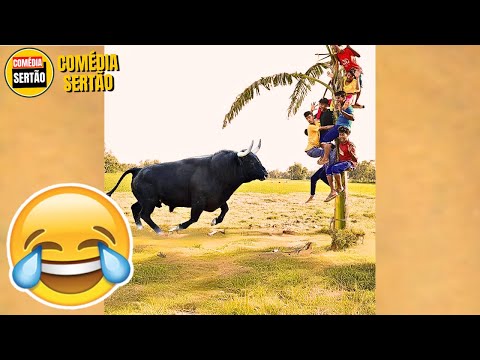 5 Minutos para Rir! 😂 Vídeos Engraçados 2024 - Tente Não Rir #11 thumbnail