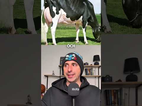 DE DYRASTE HUSDJUREN I VÄRLDEN 😂😂😂 thumbnail