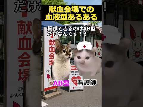 ㊗️600万再生！！【猫ミーム】献血会場での血液型あるある #2ch #ゆっくり実況 #猫ミーム #血液型 #あるある #catmemes thumbnail
