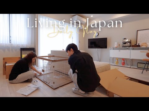 日本生活vlog｜成為爸媽的第一天?、久違的台場還是很多人、＠cosme購物品、池袋牛肉麵店❤️、穿搭日常｜水瓶小姐 thumbnail