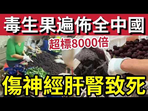 轟動全中國！毒楊梅「遍佈全國」違規添加「毒藥8000倍！」已經流出市面！更威脅記者！港人北上「網購生果」隨時中招！ thumbnail