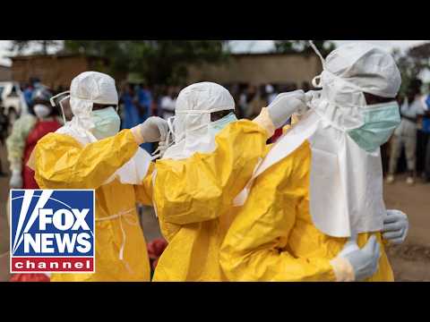 NEW: Ebola death toll SURGES as disease spreads thumbnail