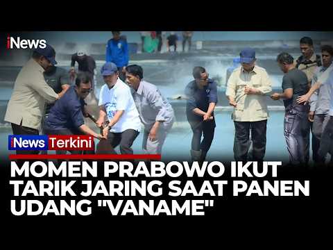 Prabowo Turun Langsung Panen 75 Ton Udang "Vaname", Ikut Tarik Jaring di Tambak | iNews Terkini 23/5 thumbnail
