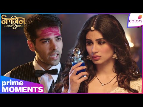 Naagin S2 | Highlights | Ep. 15 | Shivangi & Rudra’s Deadly Plan! Avantika’s End? | Colors TV thumbnail