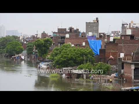 Hindon River flooding inundates floodplain settlements in Ghaziabad thumbnail