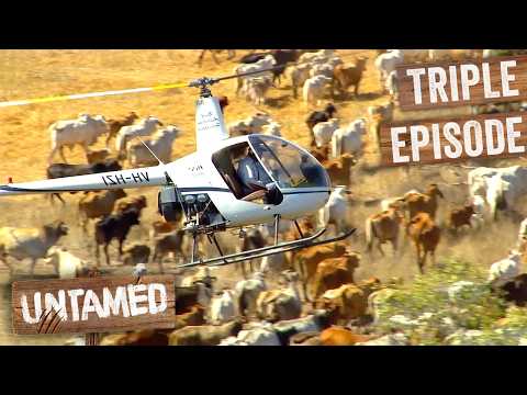 Wildest Outback Family Herd Cattle With Helicopters! | Keeping Up With The Jones Episodes 1 to 3 thumbnail