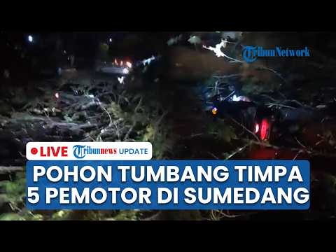 🔴LIVE: Pohon Tumbang Timpa 5 Orang di Depan Kampus Unpad Jatinangor, Satu Orang Tewas thumbnail