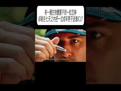 有一種生物體重不到一粒芝麻，卻能在七天之內把一位成年男子送進ICU?#科普 #漲知識 thumbnail
