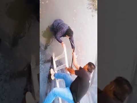 Flooded-Out Fox Gets The Rescue She Desperately Needed | The Dodo thumbnail