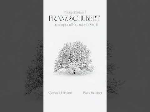 Franz Schubert ✨  Impromptu in E-flat major D.946 II ✨ Peaceful Romantic Piano Music for Inspiration thumbnail