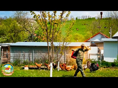 ?В ДЕРЕВНЕ РАБОТА НЕ ЗАКАНЧИВАЕТСЯ НИКОГДА! Обрабатываем сад, косим траву, сажаем цветы. thumbnail