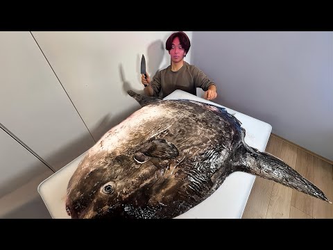 マンボウをさばいてみた結果がヤバイ… thumbnail