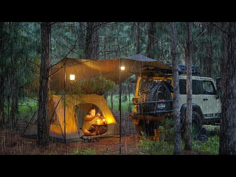 Coziest RAIN CAMPING in a Pine Forest [ SOLO Relaxing in a Tent and Tarp shelter, ASMR ] thumbnail