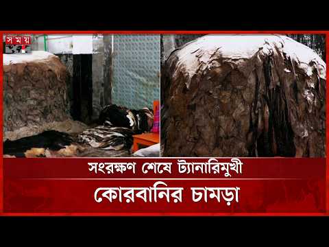 লবণজাত শেষে ট্যানারিতে চামড়া সরবরাহ শুরু | Leather | Somoy TV thumbnail