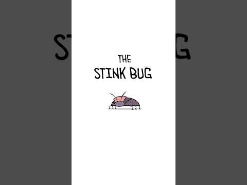 Stink Bug thumbnail