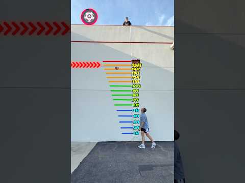 Which Ball Bounces the Highest? thumbnail