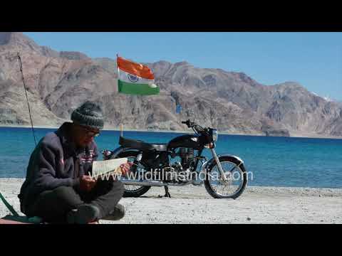 Traveler reading beside a Royal Enfield at Pangong Lake Ladakh thumbnail