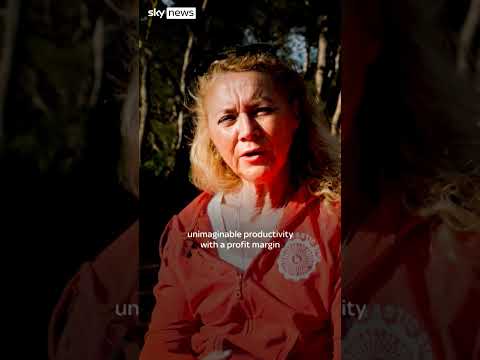 Meet the judge who defied the Italian mafia thumbnail