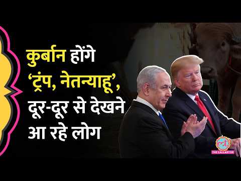 ‘Donald Trump’ और ‘Benjamin Netanyahu’ की कुर्बानी तय, Eid-al-Adha से पहले जुट रही भीड़ | Bangladesh thumbnail