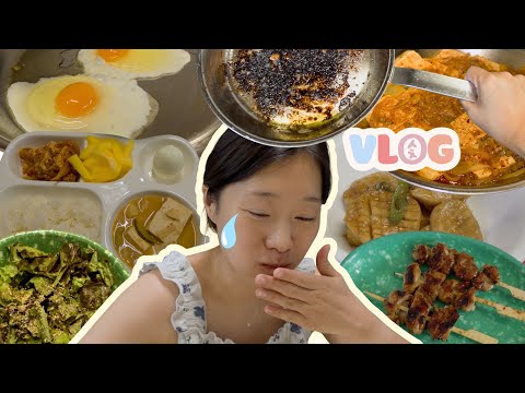 [ENG]  저속노화 밥상?그렇지만 양념은 포기 못해. 스텐팬 길들이다가 잡도리 당함. 닭꼬치, 두부전, 두부조림, 가지볶음, 버섯볶음, 된장찌개 thumbnail