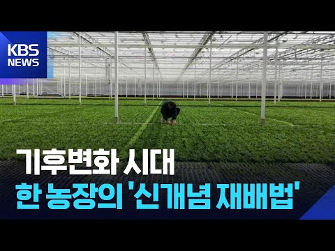 [글로벌K] 물 위에 둥둥…독일의 ‘수상 상추 농장’ / KBS  2026.05.26. thumbnail
