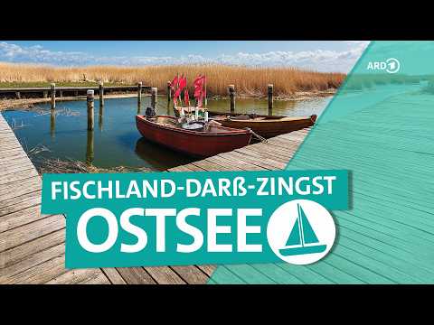 Darß: Ostsee-Abenteuer zwischen Rügen, Bodden und Meer | ARD Reisen thumbnail