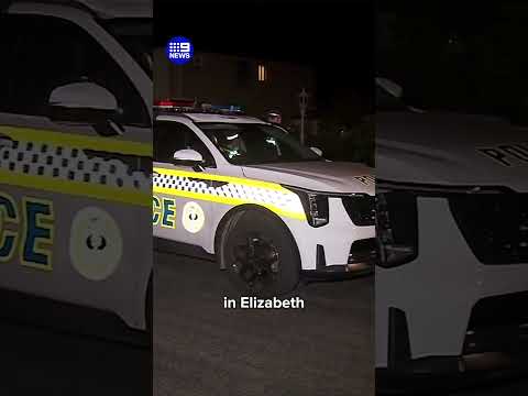 Police chase ends in dramatic backyard arrest | 9 News Australia thumbnail