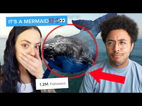 TikTok's Terrible Mermaid Conspiracies thumbnail
