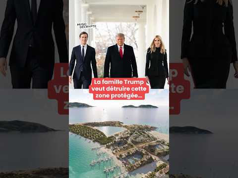 La famille Trump veut détruire cette zone protégée pour y construire des hôtels de luxe thumbnail