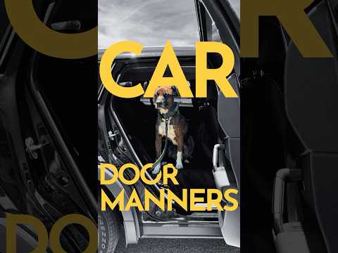 How to teach a dog not to jump out of the car until given permission. (EVEN AROUND DISTRACTIONS!) thumbnail