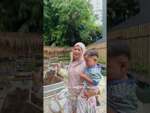 POV PERTAMA KALI PANEN SAYURAN DAN BENIH thumbnail