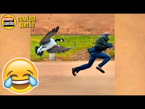 Por que os Homens Vivem Menos? 😂 Vídeos Engraçados 2024 thumbnail