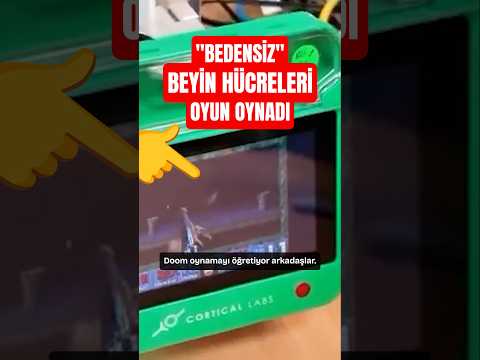 Bedensiz beyin hücreleri nasıl oyun oynadı? #shortvideo thumbnail