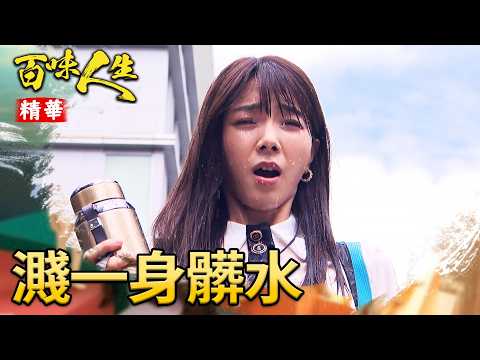 心機世茵害若晴超狼狽！冠偉順勢英雄救美？！｜#百味人生 精華 EP204｜三立台劇 thumbnail