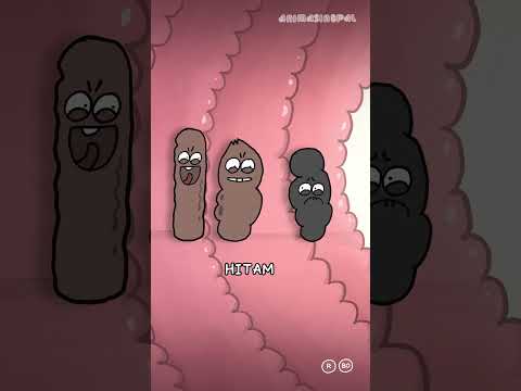 TAI  COKLAT VS TAI HITAM thumbnail