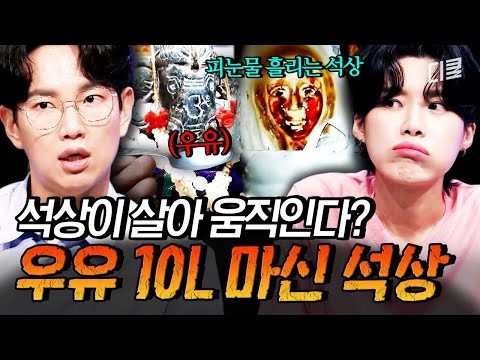 석상이 어떻게 우유를 마심😰 전 세계를 뒤집은 미스터리 현상의 진실🧐 #다빈치노트 thumbnail