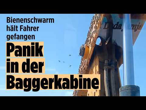 SCHOCK-MOMENT: Baggerfahrer löst Bienenangriff aus und sitzt stundenlang fest thumbnail