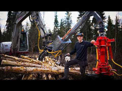 Out in the Woods Harvesting Birch & Sleeping in the Forest thumbnail