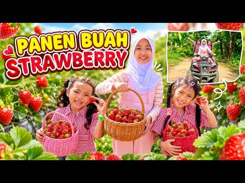 NOURA PANEN STRAWBERRY NAIK ATV DI BOTANIKA KUNINGAN.. thumbnail
