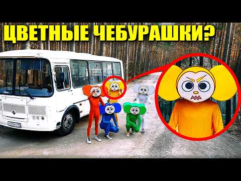 Если вы увидите этот автобус ЦВЕТНЫХ ЧЕБУРАШЕК, не проезжайте мимо него! Уезжайте БЫСТРО! thumbnail