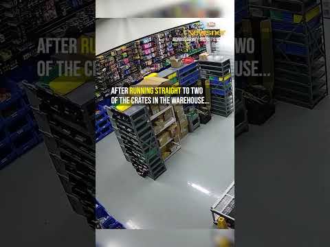 Targeted attack goes wrong when suspects are caught on tape #justice #shocking thumbnail