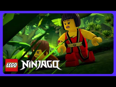 LEGO Ninjago - ¿Quién es el espía secreto? 🕵️ | Dibujos Infantiles | WildBrain Niños thumbnail