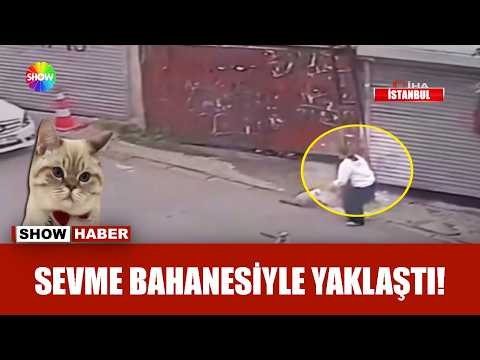 Cins kediyi çalıp gitti! thumbnail
